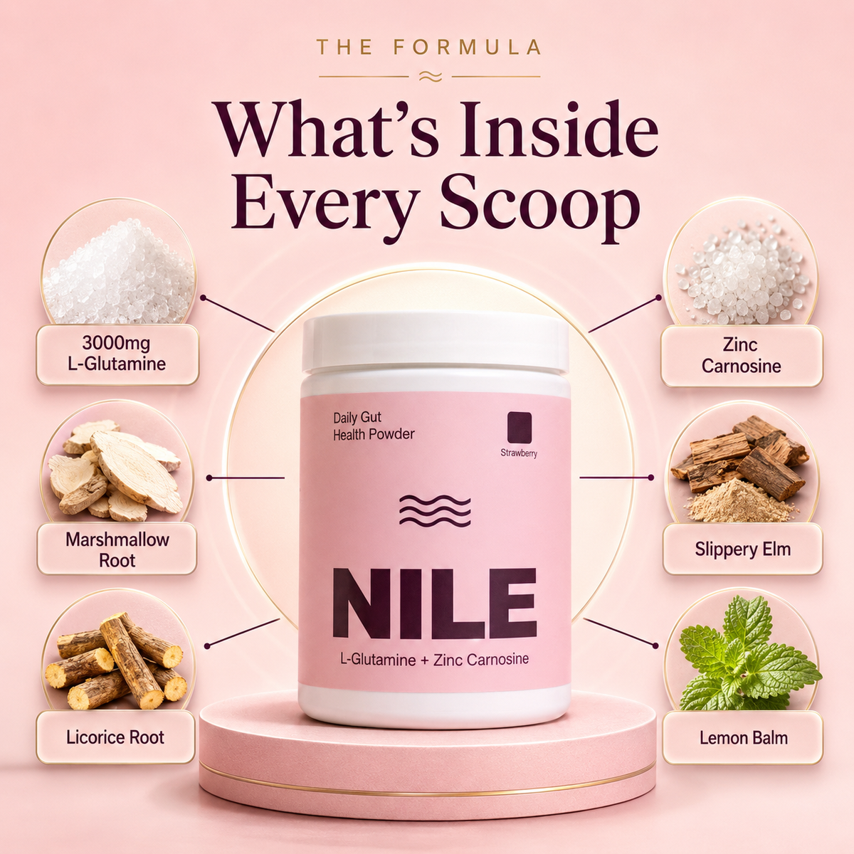 Nile™ Daily Gut Health Powder